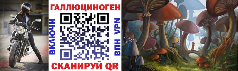 Псилоцибиновые грибы GOLDEN TEACHER  Купить где  Дубовка 